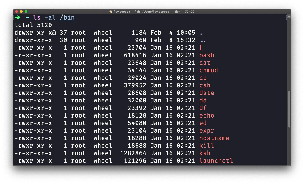Portada del módulo 2 terminal comandos fundamentales